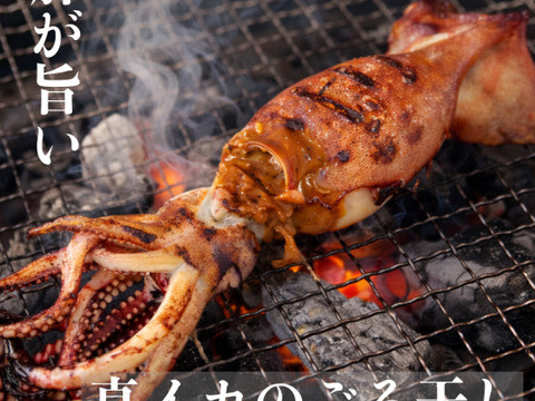 【訳あり】 真イカの丸干し 約１キロ　大中サイズ
