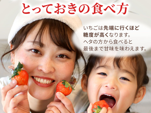 いちご うるベリー220g×2パック【冬ギフト】