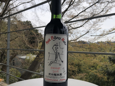 🍷赤【本格的樽熟成】579本限定　日本の赤ワインのイメージを一新するビジュノアール　山梨県勝沼産ぶどう