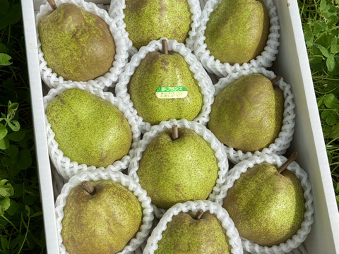 【ラフランス専業農家が贈る🍐】ラ・フランス 3kg 特秀 10玉入り