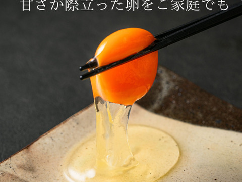 とろ～りコク旨！静岡の自然の恵みがギュッと詰まった新鮮たまご『富士の名月』【10個入×2PC】