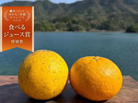 箱込み1kg 河内晩柑&甘夏　栽培期間中に農薬、化学肥料不使用 柑橘セット【柑橘食べ比べ】