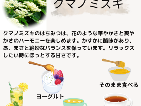 華やかな香りと爽やかさを感じるクマノミズキのはちみつ。 自然豊かな環境で採取された純粋なはちみつ