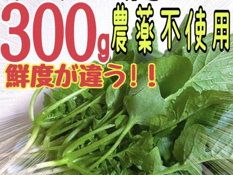 300gの栄養たっぷりな大根葉