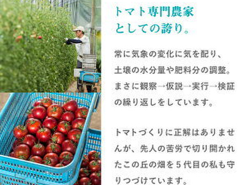 【トマトジュース専門農家】無添加トマトジュース720ml×12本