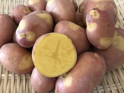 インカ2種食べ比べセット 各2kg【特別栽培】サイズ無選別