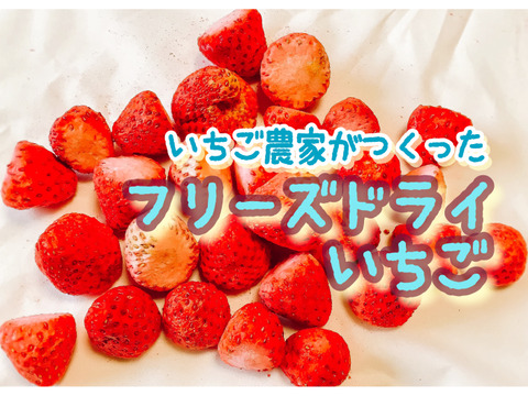 【いちご農家直送】青森県産夏秋いちごジャムアイス１２個&フリーズドライいちご固形セット【ギフトにも】