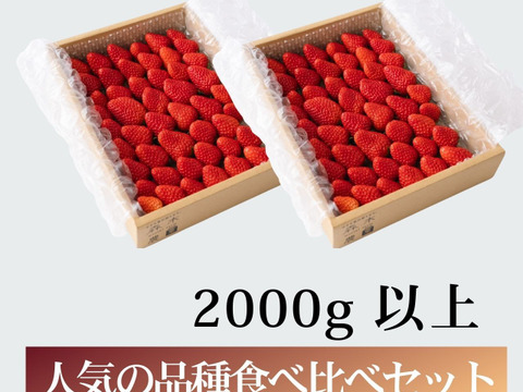 【食べ比べ】大満足の2000g食べ比べセット！人気品種「紅ほっぺ」1000g+静岡限定品種「きらぴ香」1000g or 希少品種「おいCベリー」1000gのどちらかのランダムパック!