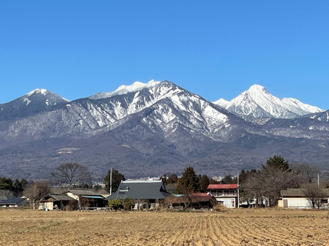 【令和7年産・新米】栽培期間中農薬不使用【亀の尾】白米・4kg　あっさりとした上品な味わい　こぴっと米