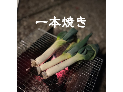 生粋の下仁田ネギ(Lサイズ以上5本+ Mサイズ15本)