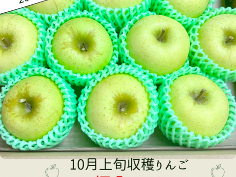 トキりんご 3kg 採れたて直送 リンゴ 美味しい ギフト 家庭用 美味しいりんご おすすめ 果実 フルーツ ツガル お取り寄せフルーツ お試し 青リンゴ 黄色りんご