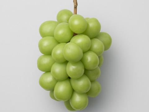 【厳選品】001 SHINE MUSCAT（9粒）