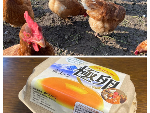 🉐青空飼育【富士の極卵】純国産鶏あずさ＆おうはん48個食べくらべ