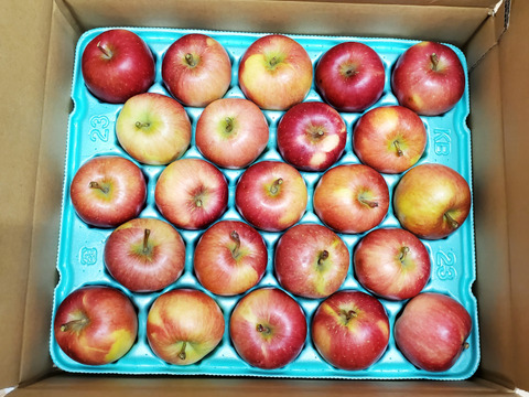 すぐに発送🚚訳ありご家庭用🍎ふじにそっくりな「ほのか」5kg 低農薬で皮ごとおいしい特別栽培りんご✨