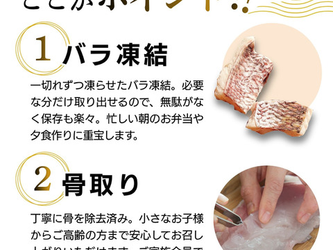 真鯛の切り身 30g×20切れ