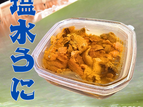 【4～6月限定】旬の味！塩水うに100ｇ✖️2