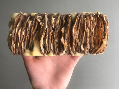 【自然栽培】甘くてシャキシャキ！ご馳走畑のご馳走れんこん　珍しい静岡県産（ご家庭用・2000円分）