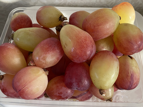 食べ比べ♡マイハート♡バイオレットキング♡つぶつぶパック1キロ♡山形県産ぶどう