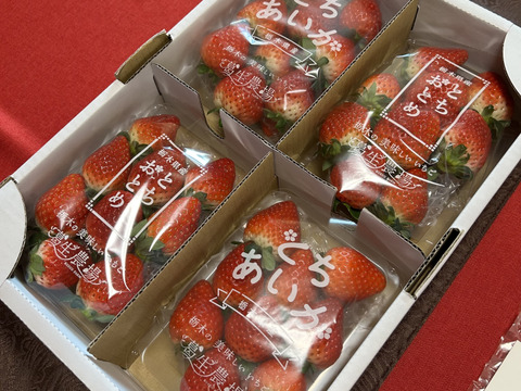 【新旧対決？】とちぎのいちご『とちあいか』・『とちおとめ』2種食べ比べセット（4パック）（260ｇ×4パック）【いちご食べ比べ】「熨斗対応可」