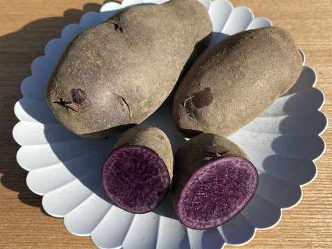 鹿児島県産じゃがいも食べ比べセット　デジマ600gシャドークイーン500gインカのめざめ500g