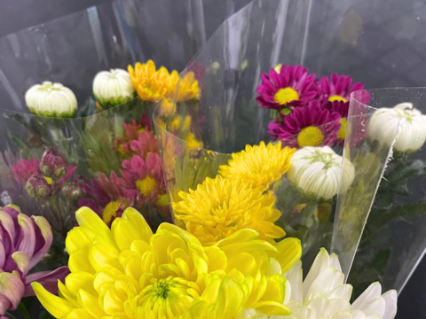 【年末年始限定】届いてそのまま飾れます！仏様用菊＋特殊マム3本お得セット！