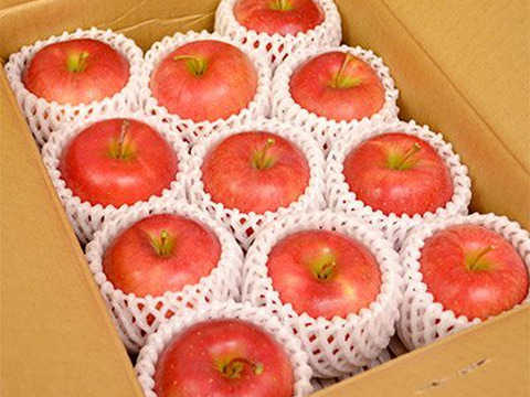 【 3000件突破セール 】【 先行予約･希少品種・清明 】【 水分たっぷりジューシー果汁 】山形県産 りんご 3ｋ【 家庭用・贈答用 】お米とご一緒に！