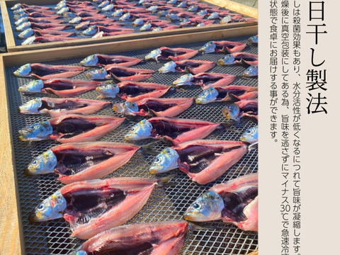 脂のり◎真イワシの開き(天日干し)