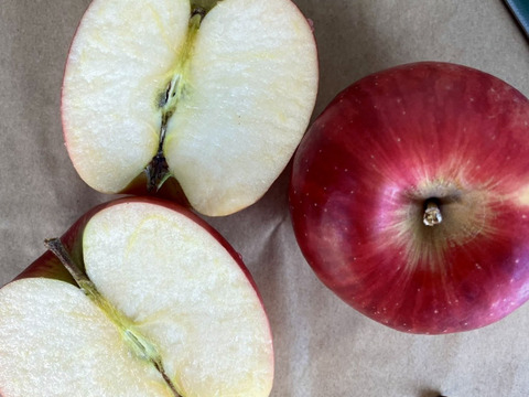 りんごセレクト５種 （B品2㎏）