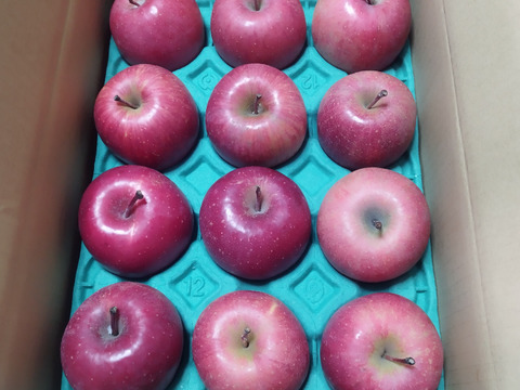 コレハお得だ！！完熟サンふじ　かわいいサイズ「小玉ちゃん」　丸かじりサイズ　お値下げ総決算価格！！　2.5キロコース（12個から13個入り）ご好評販売中