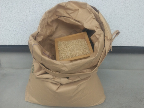 飛騨産コシヒカリ玄米２０キロ　生産農家直送 R.7新米｢飛騨コシヒカリ｣玄米20㎏：岐阜県産のお米｜食べチョク