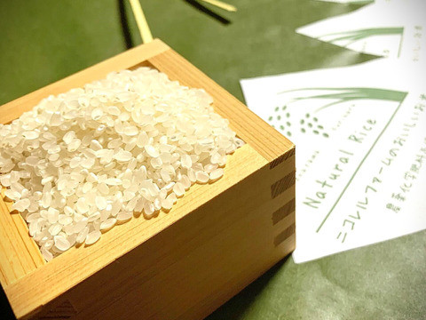 ★玄米★ 5kg　農薬化学肥料不使用・自然乾燥のお米【令和6年11月収穫】