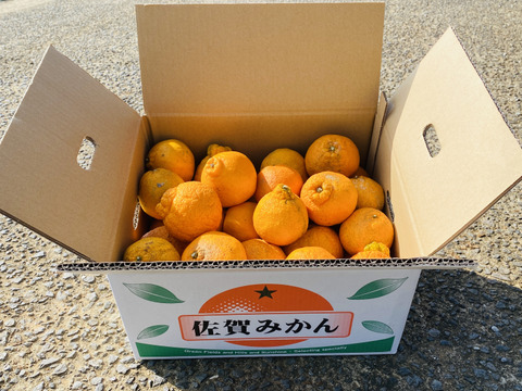 超特価 不知火ミカン デコポン 10kg個 30個 多少傷あり 佐賀県産 ハウス栽培 佐賀県産 食べチョク 農家 漁師の産直ネット通販 旬の食材を生産者直送