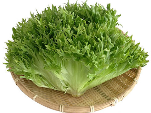 【お買い得！】 野菜ソムリエ推奨！多彩な食味のサラダボウルが作れる詰め合わせ 野菜
