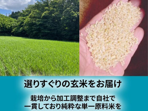 お値打ち玄米30kg】令和7年産 青森県産「まっしぐら」紙袋玄米30kg