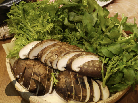 肉厚の原木椎茸 約900g 生しいたけ 原木しいたけ