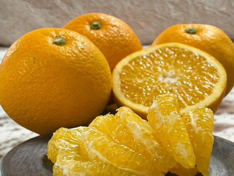 シャキプリッ♪和歌山の甘酸っぱい八朔 5kg