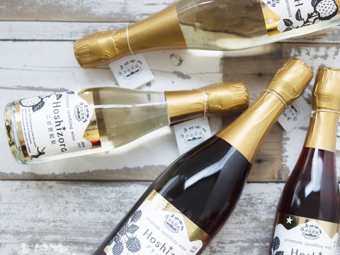 国産ブラックベリースパークリングワイン375ml