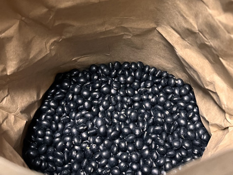 有機黒豆　中生光黒4kg　北海道 十勝産　オーガニック（有機） 2025年産 手選別