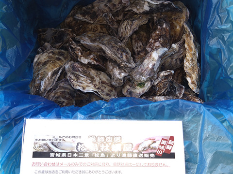 1/1～1/6は休業【水産庁補助事業　送料無料】❄️ 生食用４ｋｇ 殻付き 牡蠣 急速凍結 🦪 松島牡蠣屋直送 BBQ・ホームパーティーに！ 🔥 オイスター 貝 😋冷凍牡蠣 貝類 二枚貝B