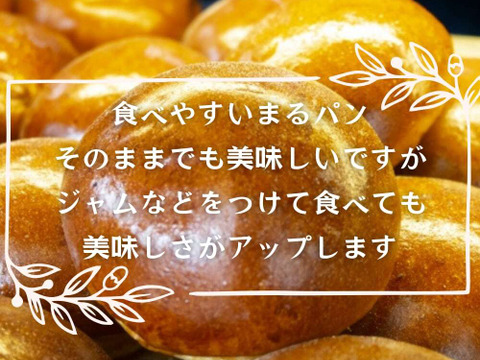 パン品 2025年 7月初旬 発売】国内 417 EDIFICE 限定 VANS OLD SKOOL