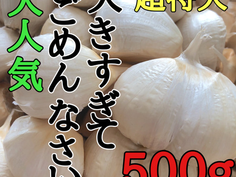 【大特価】月500箱完売🌟まるでお芋！あまくておいしい青森にんにく大粒バラ500g＋おまけ増量🌟