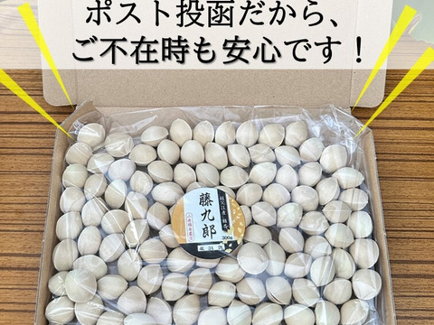 【秋の味覚】苦味が少ない、もっちもち祖父江銀杏【久寿】大玉３Ｌ３００ｇ（約70粒程度）