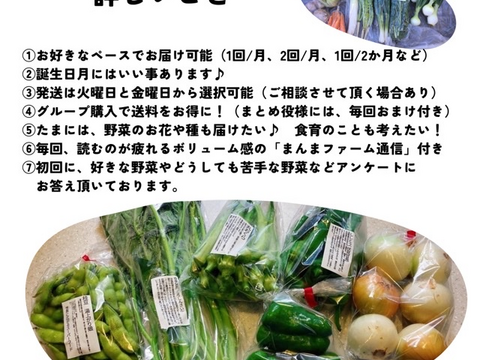 【自然栽培】お試し『まんま野菜の宝箱M』