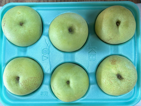 【かおり】3kg（6玉）【家庭用】幻の梨！