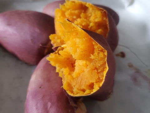 調理サイズ2.5kg/箱詰/土付　ハロウィンスイート