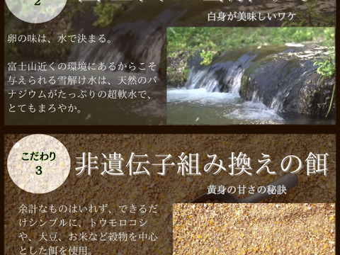 黄身が甘い！富士山麓の放し飼い卵『福が、きた』【10個入×2PC】