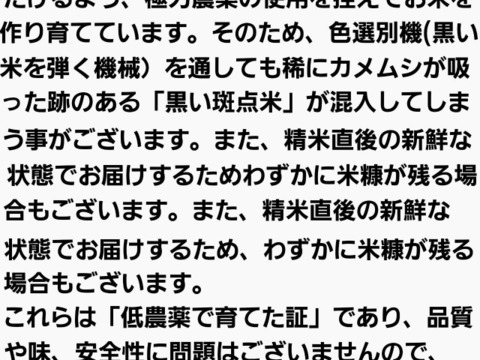 新米！令和7年青森県産米あさゆき5kg
