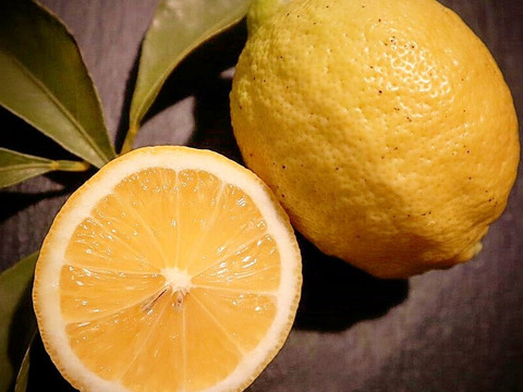 【同梱商品/5kg箱】おひさま色の紅八朔＆瀬戸田産レモンA品1kg【ご家庭用】