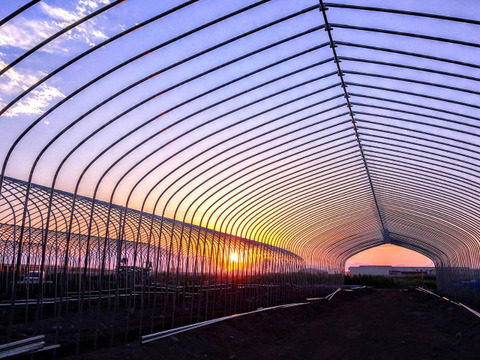 甘恋トマト ～濃厚ジューシー果汁～ 【1kg】