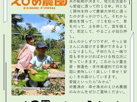 香り際立つ えひめ農園のグリーンレモン 約2.7kg（ワックス・防かび剤不使用・皮まで活用可）／送料別・数量限定